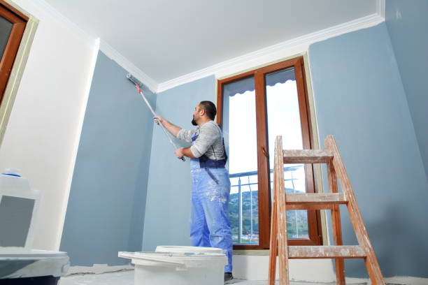 Trusted Shawano, WI Mold Removal Experts