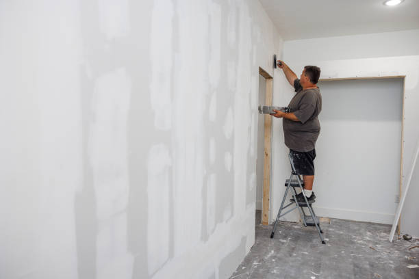 Best Mold Odor Removal Services  in Shawano, WI