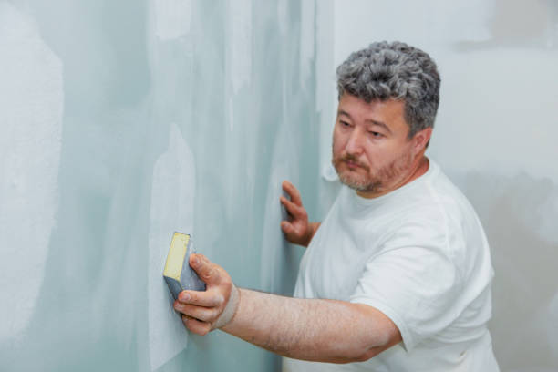 Best Mold Documentation for Insurance Claims  in Shawano, WI