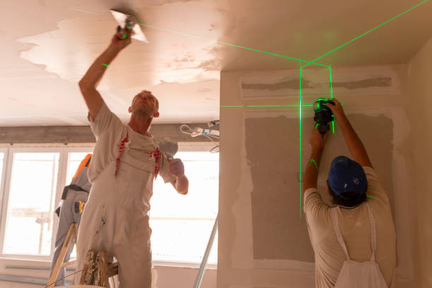 Best Black Mold Removal  in Shawano, WI