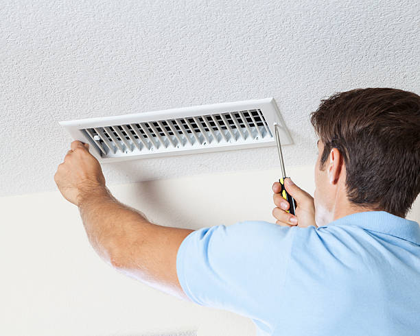 Best Industrial Mold Remediation  in Shawano, WI