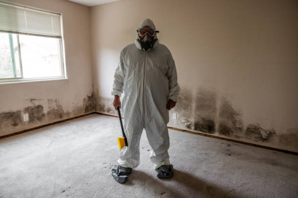 Best Air Quality Testing for Mold Spores  in Shawano, WI
