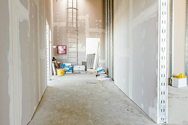Best Environmental Consulting for Mold Prevention  in Shawano, WI