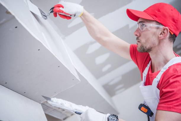 Best Biohazard Mold Removal  in Shawano, WI
